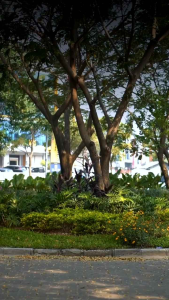 Couple Atasan Batik Sarimbit Blouse Terbaru Casual Formal Rekomendasi Masa Kini Laskala Batik Premium