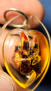 สาริกาลินทอง หลวงพ่อเปิ่น วัดบางพระ จ.นครปฐม เนื้อไม้ เลี่ยมกรอบพลาสติก