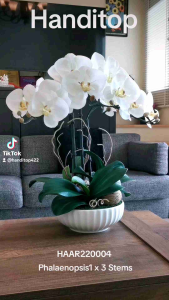 Handitop HAAR220004 แจกันดอกไม้ประดิษฐ์ฟาแลนนอปซิสจํานวน 3 ช่อในแจกันเซรามิคสีขาว ของตกแต่งบ้าน ของขวัญสําหรับโอกาสพิเศษต่างๆ