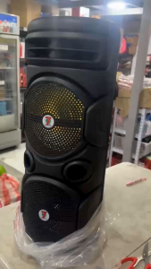 8800W Bluetooth Portable Karaoke Speaker: A Comprehensive Guide