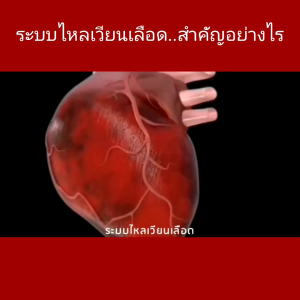 เคโอ KO ของแท้มีบาร์โค้ด บำรุงเลือด เวียนหัว บ้านหมุน ไขมันในเลือดสูง ความดันสูง เลือดจาง เบาหวาน