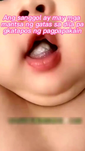 30 PCS Pembersih Mulut Bayi/0-3 Tahun Sikat Pembersih Lidah Bayi New Bor/Pembersih Lidah Bayi