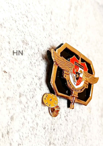 PIN BARET PEMUDA PANCASILA SAYAP