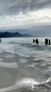 jaring ikan pukat tarik pukat ikan 1 inch suku 50 mitter 0.40mm Jaring Ikan Menangkap Ikan ready stock