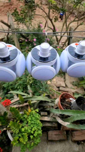 Đèn năng lượng mặt trời 4 cánh 45 bóng tự nạp khi trời nắng