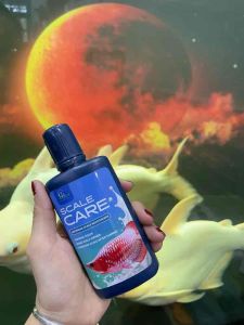 SCALE CARE 100ML - HỖ TRỢ POM/TANNING DÀNH CHO CÁ BỐI/HUYẾT LONG CHĂM SÓC DA VẢY CHO CÁ HÀNG CÔNG TY THÁI LAN