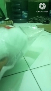 Cover Lampu Senja Asli Moncong Spakbor Belakang Beat Deluxe K1A Original Beat 2020-2021