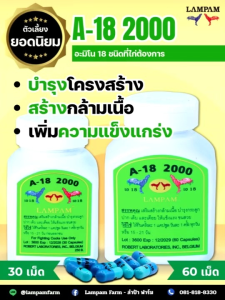 A18ลำปำ LAMPAM ชนิดน้ำและชนิดแคปซูล ตัวแทนจำหน่ายลำปำ รับประกันของแท้ มีหน้าร้าน