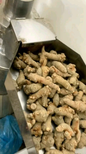 CỦ TAM THẤT BẮC HÀ GIANG 500GR LOẠI 7 TUỔI TAM THẤT KHÔ NGUYÊN CHẤT NGỪA U BƯỚU UNG THƯ BỔ MÁU BỒI BỔ CƠ THỂ