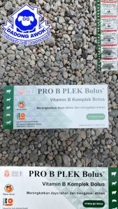 PRO B PLEK BOLUS 1 bolus ecer vitamin b komplek sapi kambing domba Meningkatkan Daya Tahan tubuh