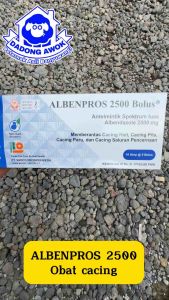 ALBENPROS 2500 1 Bolus ecer obat Cacing Hati Cacing Pita Cacing Paru Saluran pencernaan sapi kambing