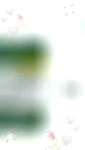 OXBOW Critical Care Herbivore Anise Flavour For Small Pets - 141G