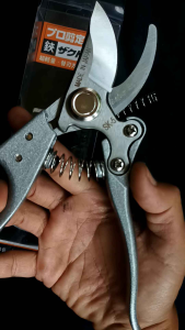 Gunting Dahan Silver Original Japan SK5