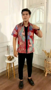 Kemeja Baju Batik Pria Mewah 2024 Batik Lengan Panjang Batik Tulis Modern Pakai Furing Warna sage