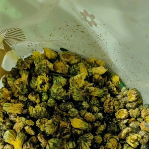 优选特级胎菊 Premium Quality Chrysanthemum Buds Flower Tea 桐乡胎菊王 Bunga Kekwa 花茶 养生花茶 天然花茶 菊花 菊花茶 Natural Flower Tea