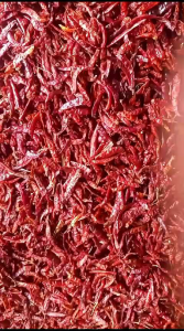 MURAH ( 1KG) CABE/CENGEK TEJA CAPLAK KERING