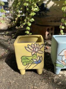 Chậu trồng cây sen đá/xương rồng/nhập Trυng men bông hoa 4 kiểu🌻