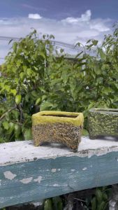 Chậy trồng cây sen đá/xương rồng/bonsai xuất Hàn chữ nhật 4 chân☘️