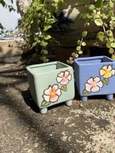 Chậu trồng cây sen đá/xương rồng/bonsai nhập Trυng men vuông bông hoa🌸