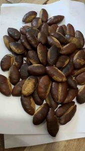 กระบก(หมากบก)บรรจุ50กรัม