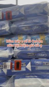 TÃ Bỉm Dán người già   Caryn M40 L40 XL40 miếng giành cho người lớn người già siêu thấm hút