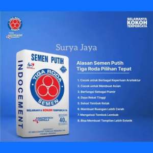 SEMEN PUTIH TIGA RODA 40 KG | SAK