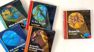 Moonlight My First Discoveries Insects Torchlight