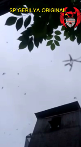 SP GERILYA 1 pcs Suara Panggil Walet Sangat Respon Memanggil Walet