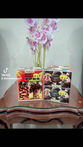 Benih Bibit Sawit PPKs Marihat Dumpy Buah Besar