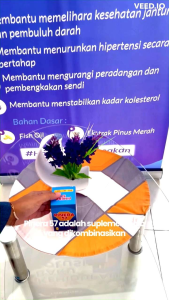 2 BOX PINERA 57 Obat Herbal untuk Stroke Diabetes Jantung Hipertensi Asam Urat Gerd Peradangan