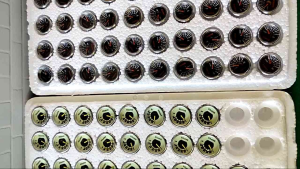 Manometer Tekanan Angin: Panduan Lengkap