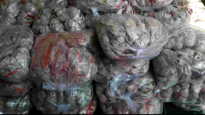 (1 Paket Isi 2Pack/50Butir) Basreng Kataji Mentah & Bahan Baso Goreng Pedas