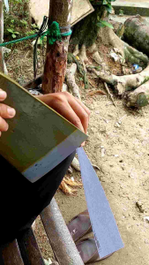 DODOS CAMEL GOLD IMJ ORIGINAL SIAP PAKAI