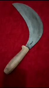 Arit Sadap Kelapa Balik Mipih H-JND