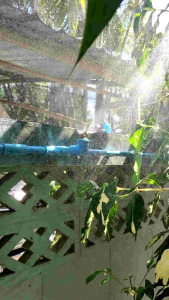 หัวฉีดพ่นละอองน้ํา (ทองเหลือง) มีไส้กรอง ข้อต่อเกลียวนอก 4 หุนหรือ 1/2 นิ้ว