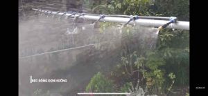 Béc Đầu Đồng Các Loại Kèm Tê Nối 8mm 6mm