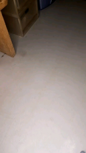 Mushroom Amigurumi Keychain | Gantungan Kunci Rajut Mushroom | Boneka Gantungan Kunci Amigurumi Mushroo