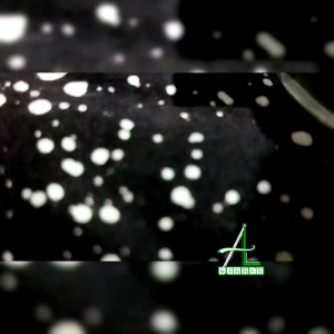 Soket Sok Drat Nepel Alkon Mesin Pompa Air Ukuran 1 Inch Socket Kopling Sock Sambungan Aluminium Water Pump Diesel Irigasi Sawah Robin Mini Honda Solat Tesla Vitara Nishikawa