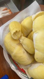 ทุเรียนหมอนทอง  เนื้อหวานอร่อย เม็ดลีบ กรอบนอกนุ่มใน มีหลายขนาด
