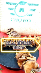 Nấm hương rừng - 100g