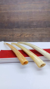 Pipa Cangklong Sirip Marlino Kualitas Super A114