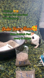 Cat Litter - 1KG Plus 100 Grams (Free) Cat Litter Sand / Made on Pure Pumice Sand (Pure Natural Eco-Friendly Organic Unscented Washable and Reusable (No Chemical Added))