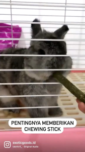 MAINAN GIGITAN STIK KAYU APEL UNTUK HAMSTER 1PCS