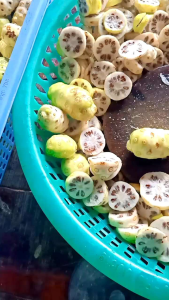 Hủ 3kg Trái Nhàu Già (Chín) Ngâm Đường Cát Vàng Hỗ Trợ điề.u tr.ị Bư.ớu C.ổ Bướ.u Tuy.ến GiápCư.ờng Giá.p