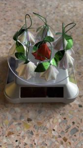 โปรยทานสำเร็จรูป ชมพู่แก้ว(จิ๋ว) พร้อมใช้งานได้ทันทีจ้า#งานบุญงานบวช