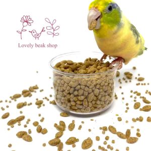 อาหารนก มาซูริ 56A6 สำหรับนกแก้ว ู่ในรูปแบบ อาหารนกสำเร็จรูป ฟอพัส เลิฟเบิร์ด ค็อกคาเทล คอนัวร์