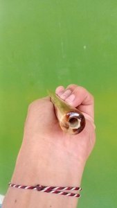 once pipa pipo lubang multi fungsi marlin asli original premium panjang 15 cm