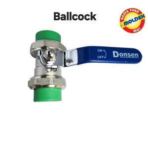 Moldex EcoSafe PPR True Union Ball Cock-PVC Valve U Resin food-grade virgin PVC-U resin abrasion and corrosion resistant lightweight HOT AND COLD WATER PIPING SYSTEM Guaranteed safe for drinking