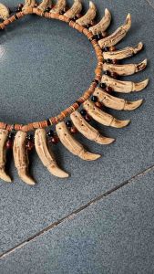 Kalung Taring Melingkar Etnik Dayak Replika