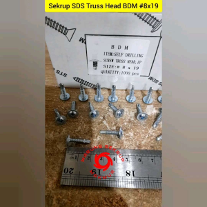 (50 pcs) Sekrup Roofing Truss Head SDS 8x19 mm / Skrup Truss Head 2CM